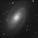 The Spiral Galaxy M81
